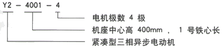 YR系列(H355-1000)高压三相异步电机西安西玛电机型号说明
